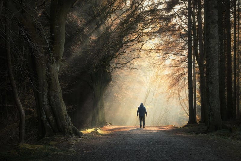 Vue de loin d'une personne marchant en foret